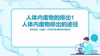 初中生物人教版 (新课标)七年级下册第四单元 生物圈中的人第五章 人体内废物的排出完整版课件ppt