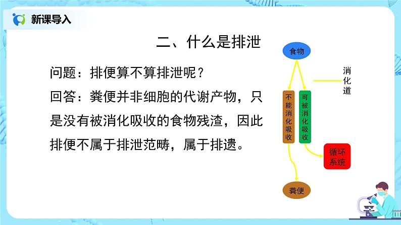人教版（新课标）生物七下：第五章《人体内废物的排出》（第一课时）--人体内废物排出的途径（课件+教案+练习）06