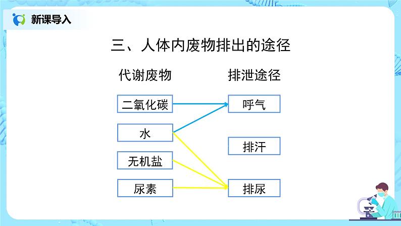 中学生物课件第7页