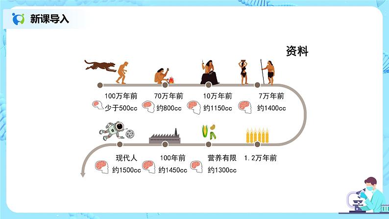 人教版（新课标）生物七下：6.2《神经系统的组成》（第二课时）（课件+教案+练习）04