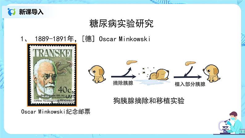 人教版（新课标）生物七下：6.4《激素调节》（课件+教案+练习）07