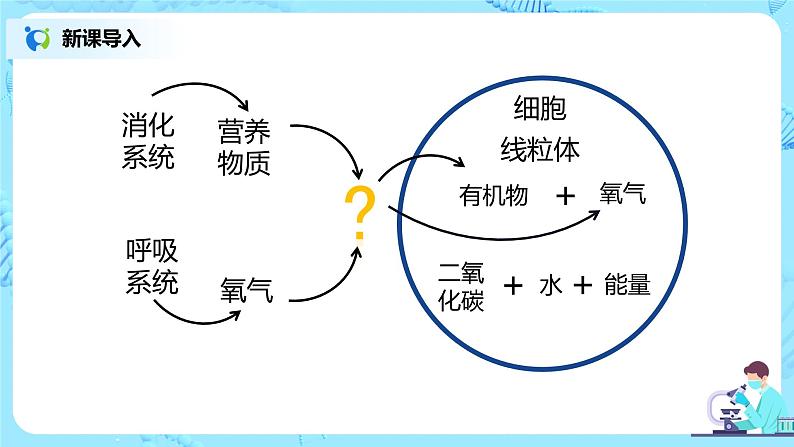 人教版（新课标）生物七下：4.1《流动的组织——血液》（课件+教案+练习）03