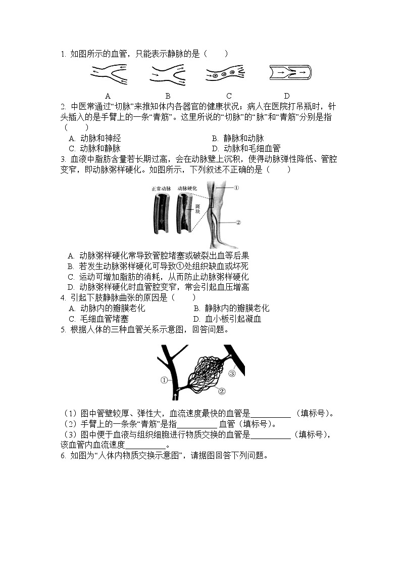 人教版（新课标）生物七下：4.2《血流的管道——血管》（课件+教案+练习）02