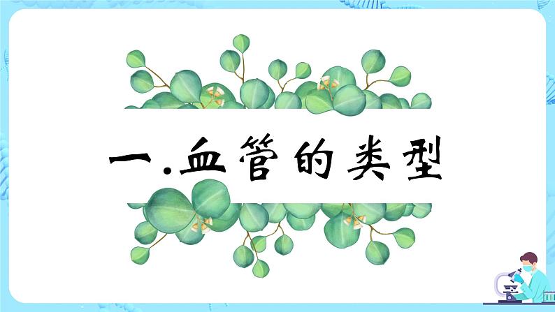 人教版（新课标）生物七下：4.2《血流的管道——血管》（课件+教案+练习）03