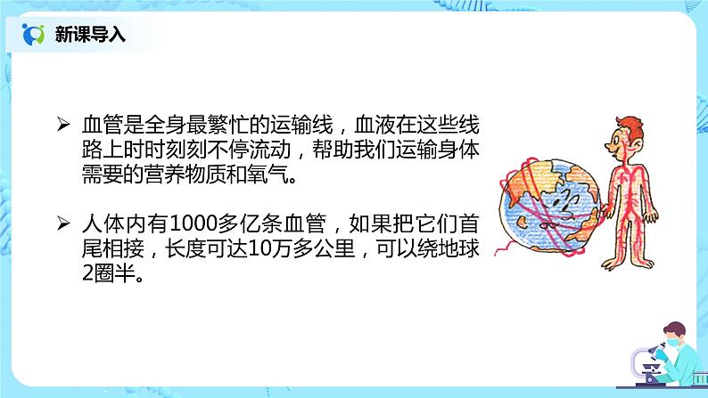 人教版（新课标）生物七下：4.2《血流的管道——血管》（课件+教案+练习）04