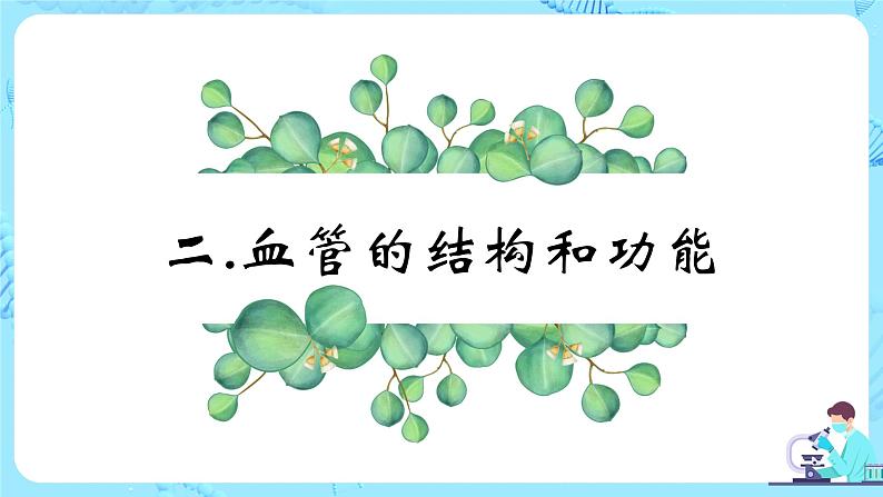 人教版（新课标）生物七下：4.2《血流的管道——血管》（课件+教案+练习）07