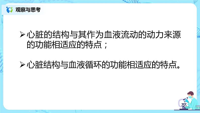 人教版（新课标）生物七下：4.3《输送血液的泵——心脏》（第一课时）（课件+教案+练习）05