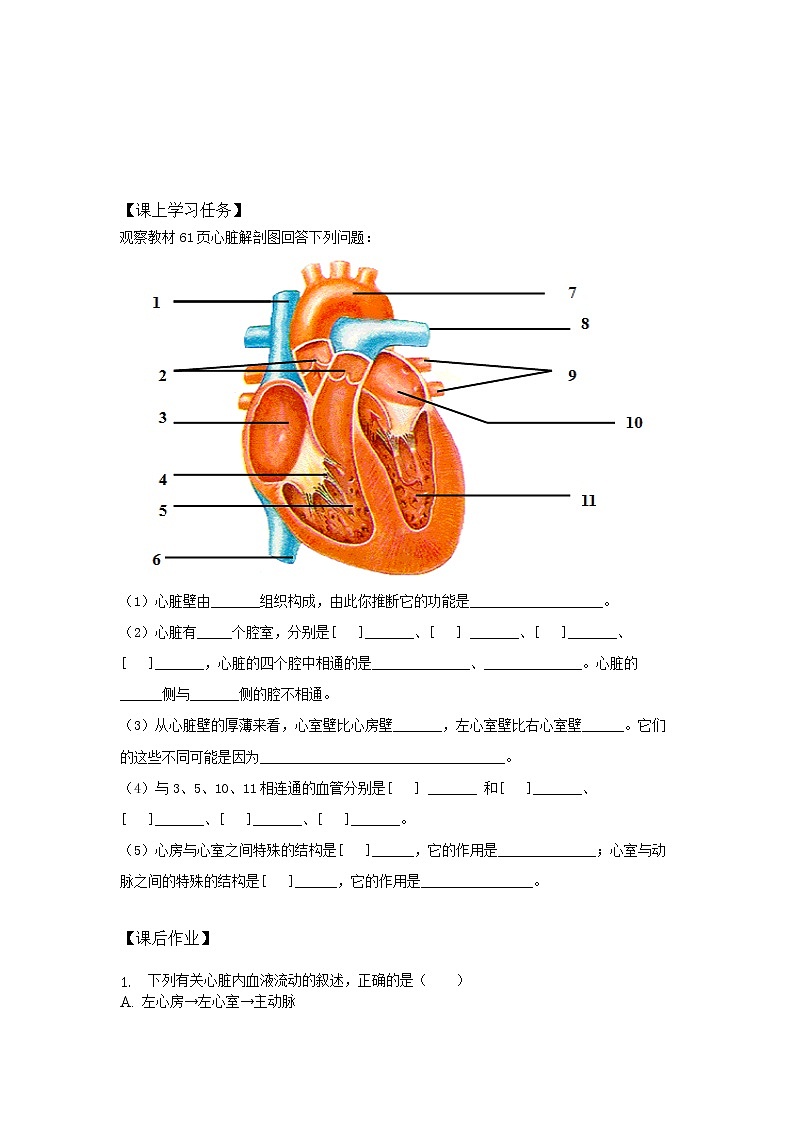 人教版（新课标）生物七下：4.3《输送血液的泵——心脏》（第一课时）（课件+教案+练习）02