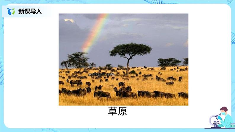 人教版（新课标）生物七下：第七章《分析人类活动对生态环境的影响》章节综合与测试（课件+教案+练习）04