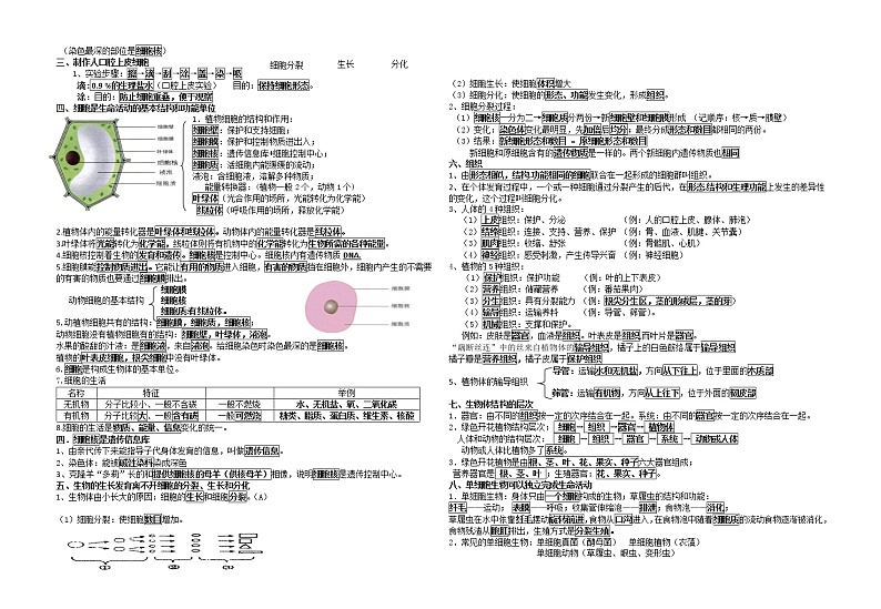 最新人教版七年级上册生物期末复习提纲第2页