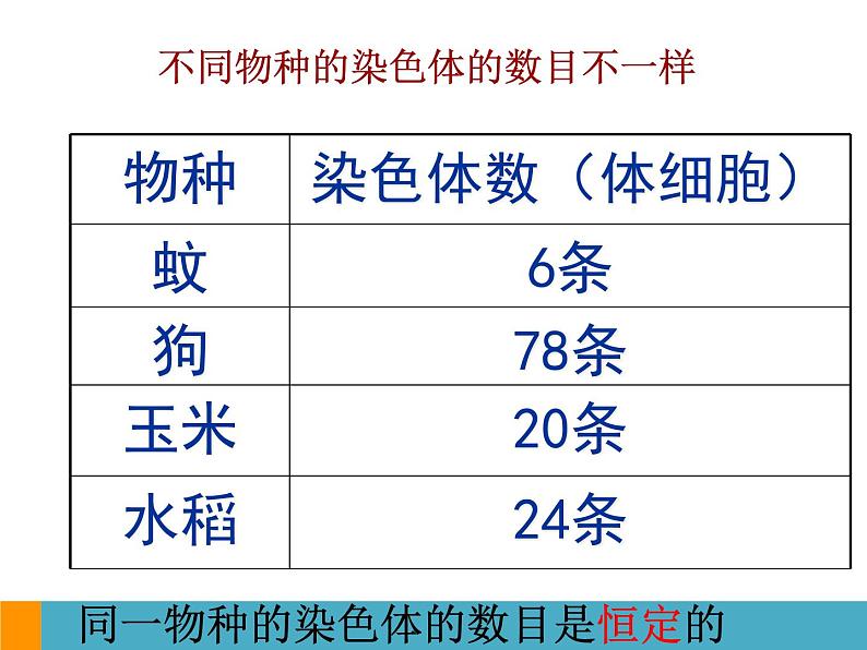 上海版八年级上册生物  2.3.2 染色体与人体性别决定 课件   (共18张PPT)第5页