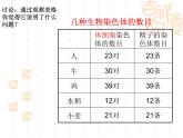 上海版八年级上册生物课件 2.3.2 染色体与人体性别决定 (共19张PPT)