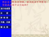 上海版八年级上册生物  3.2.1 常见传染病及其预防 课件   (共37张PPT)