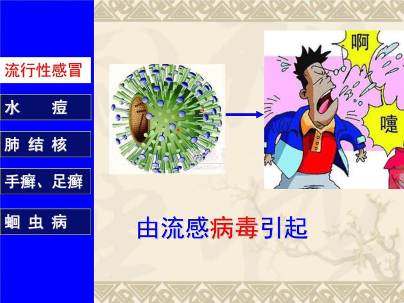 上海版八年级上册生物  3.2.1 常见传染病及其预防 课件   (共37张PPT)05