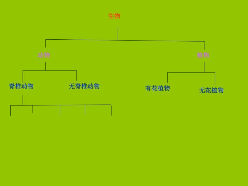 14.2生物检索表课件 七年级生物下册（苏科版）05