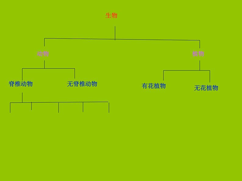 14.2生物检索表课件 七年级生物下册（苏科版）05