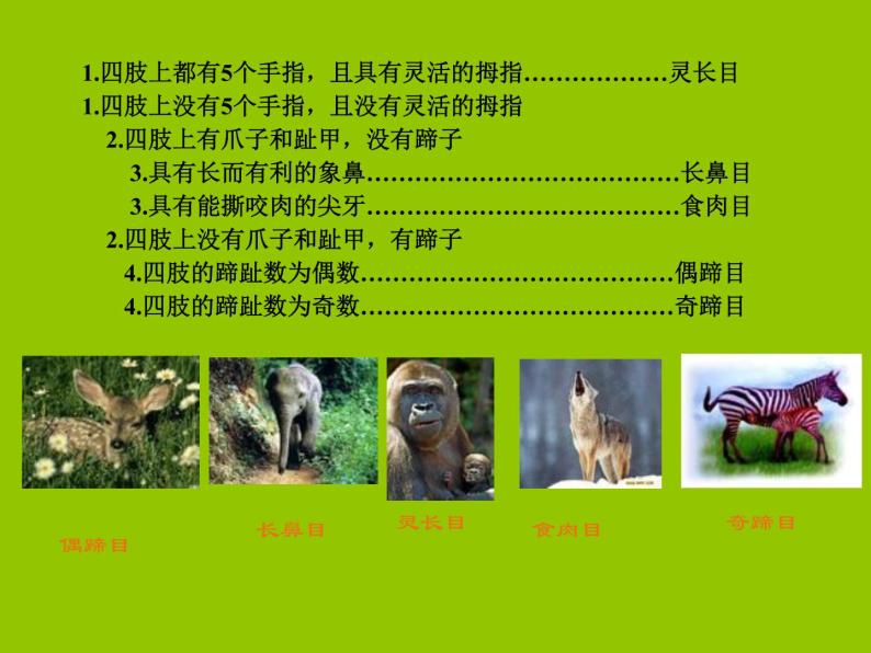 14.2生物检索表课件 七年级生物下册（苏科版）08