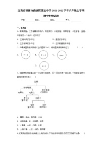 江西省赣州市南康区第五中学2021-2022学年八年级上学期期中生物试题（word版 含答案）