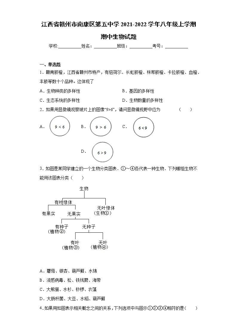 江西省赣州市南康区第五中学2021-2022学年八年级上学期期中生物试题（word版 含答案）01