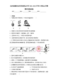 山东省德州市齐河县第五中学2021-2022学年七年级上学期期中生物试题（word版 含答案）