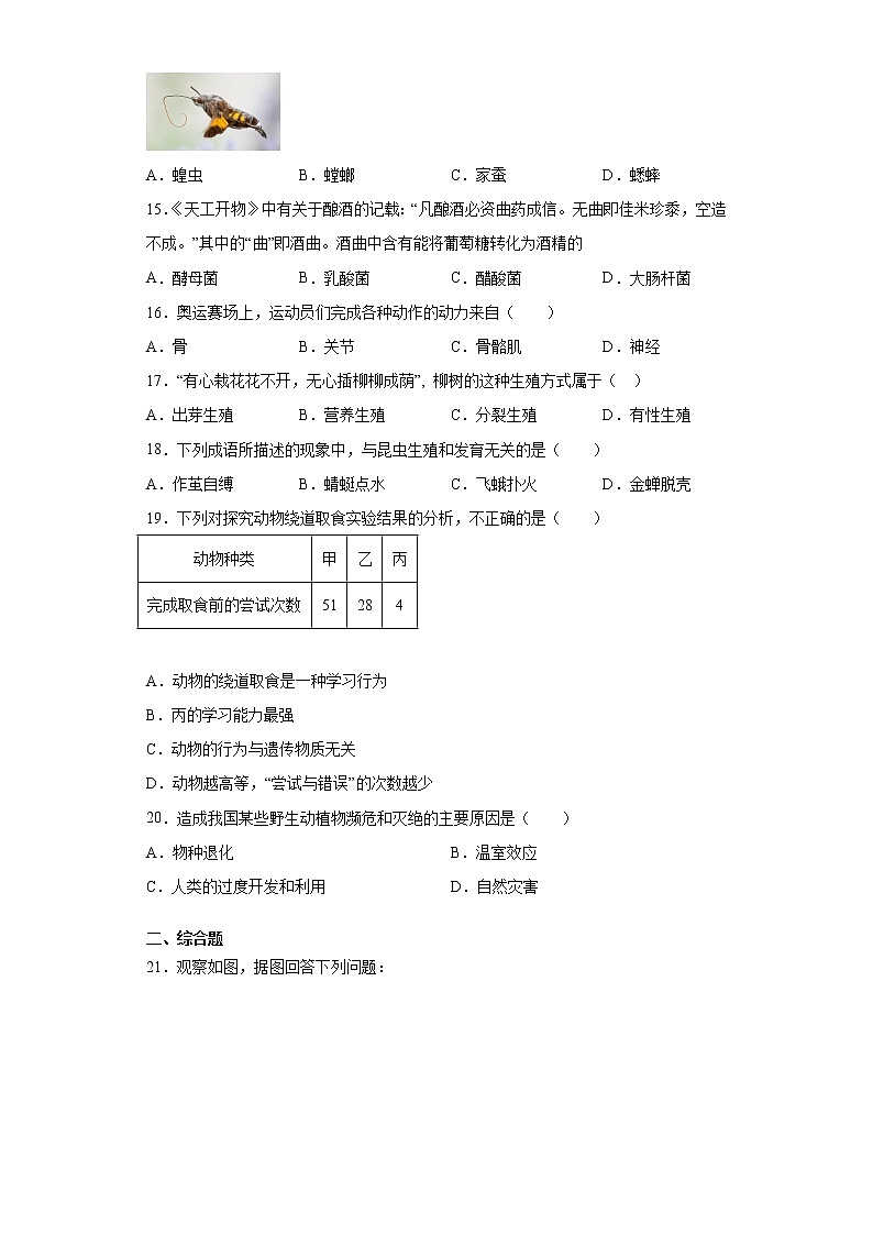 河南省驻马店市西平县2021-2022学年八年级上学期期中生物试题（word版 含答案）03