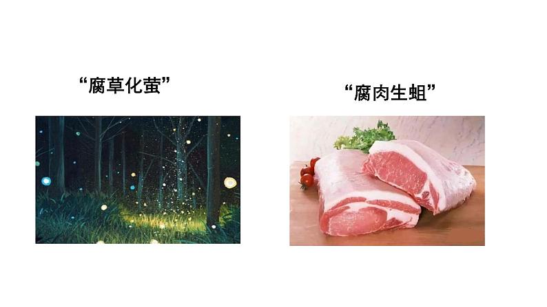 北师大版八年级生物下册 第21章 第1节 生命的起源 课件05