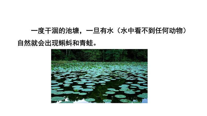 北师大版八年级生物下册 第21章 第1节 生命的起源 课件06