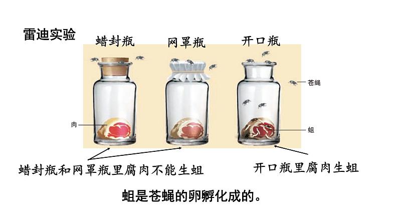 北师大版八年级生物下册 第21章 第1节 生命的起源 课件08