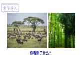 北师大版八年级生物下册 第23章 第1节 生物的生存依赖一定的环境 课件