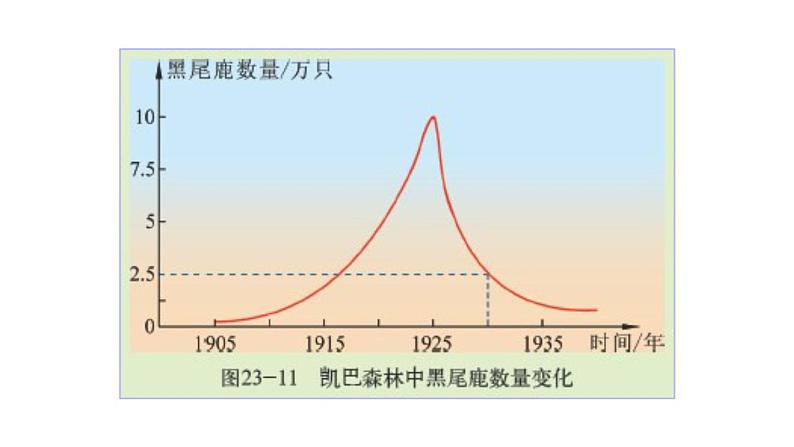 北师大版八年级生物下册 第23章 第4节 生态系统的稳定性 课件06