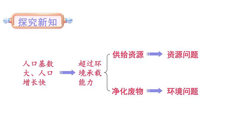 北师大版八年级生物下册 第24章 第1节 第2课时 人口增长与计划生育 课件04