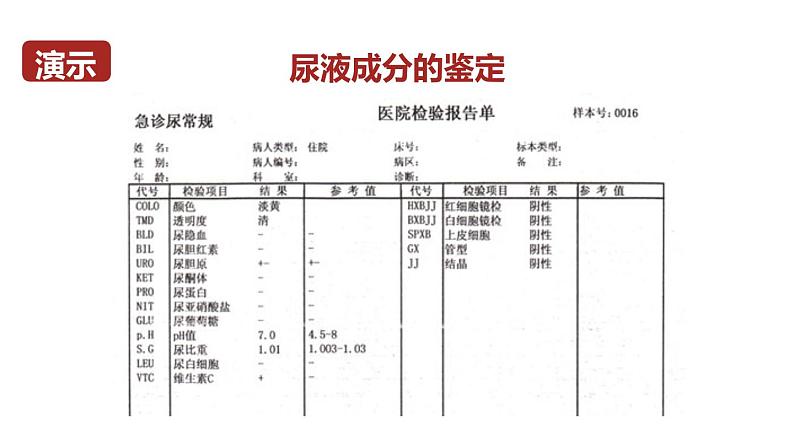 北师大版七年级生物下册 第11章 第1节 人体产生的代谢废物 课件06