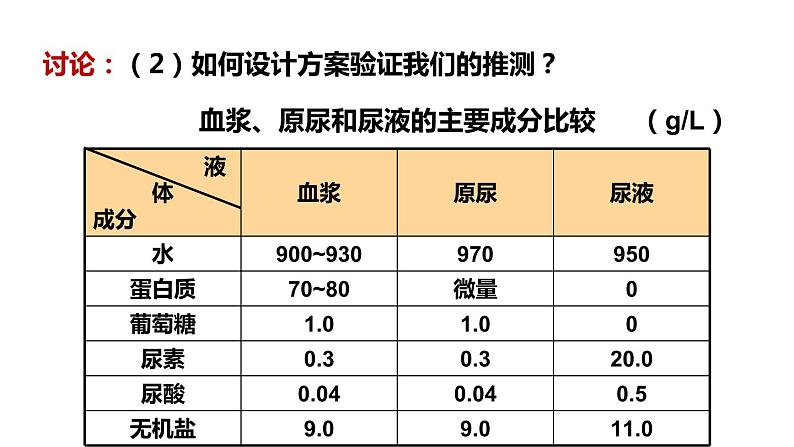 北师大版七年级生物下册 第11章 第2节 第2课时 尿的形成与排出 课件07