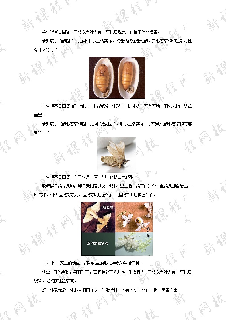 八年级生物下册（人教版）7.1.2  昆虫的生殖和发育教案03