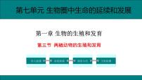 初中生物人教版 (新课标)八年级下册第三节 两栖动物的生殖和发育优质课ppt课件