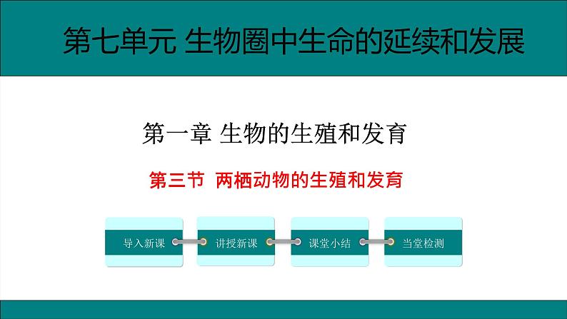 八年级生物下册（人教版）7.1.3  两栖动物的生殖和发育课件01