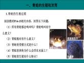 八年级生物下册（人教版）7.1.3  两栖动物的生殖和发育课件