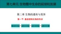 初中生物人教版 (新课标)八年级下册第一节 基因控制生物的性状完美版课件ppt