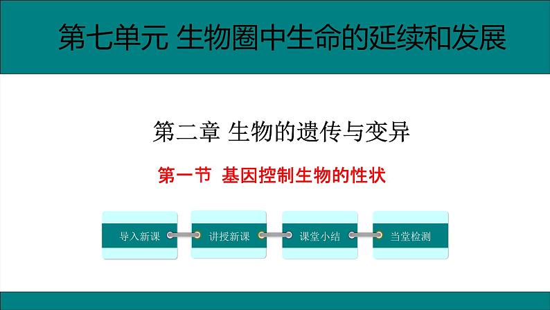 八年级生物下册（人教版）7.2.1  基因控制生物的性状课件第1页