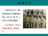 八年级生物下册（人教版）7.2.1  基因控制生物的性状课件