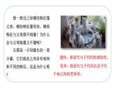 八年级生物下册（人教版）7.2.1  基因控制生物的性状课件
