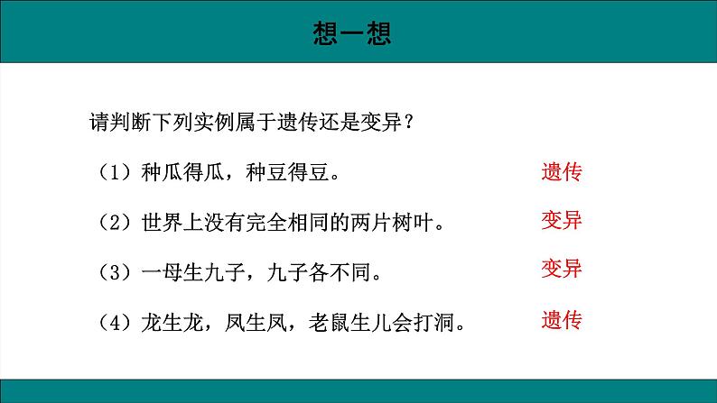 八年级生物下册（人教版）7.2.1  基因控制生物的性状课件第5页