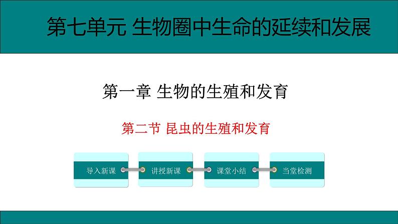 八年级生物下册（人教版） 7.1.2  昆虫的生殖和发育课件01