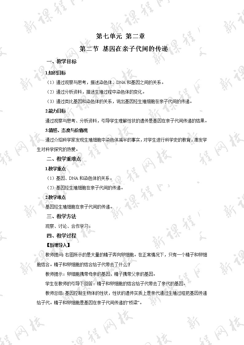 八年级生物下册（人教版）7.2.2   基因在亲子代间的传递教案01