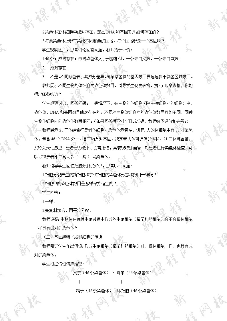 八年级生物下册（人教版）7.2.2   基因在亲子代间的传递教案03