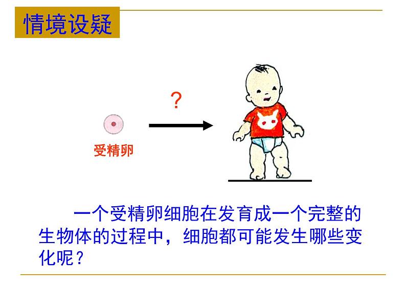 2.4.1细胞分化形成组织课件PPT第2页