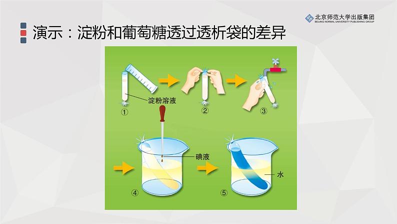 8.2食物的消化和营养物质的吸收（第二课时）课件PPT第4页