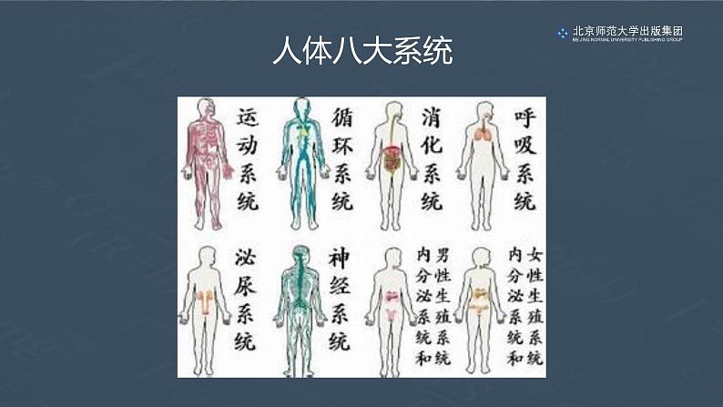 9.1血液（第一课时）课件PPT03