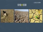 14.2保护生物圈是全人类的共同义务课件PPT