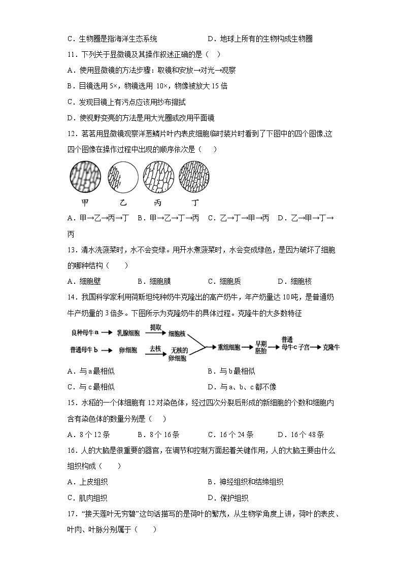四川省宜宾市兴文县2021-2022学年七年级上学期期中生物试题（word版 含答案）03